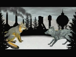 Sarah Blasko - Explain