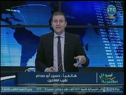نقيب الفلاحين يكشف كواليس تعاقد وزارة الزراعة لشراء القطن من الفلاحين