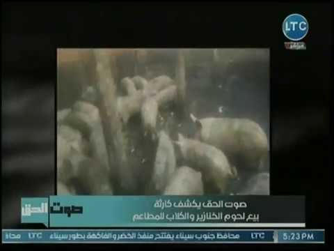 صوت الحق | مع نجوى الجرجاوي تخترق خلالها أوكار تجارة الخنازير والكلاب وبيعها للمطاعم 21-11-2018