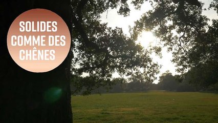 10 footballeurs ayant pris leur retraite après 40 ans