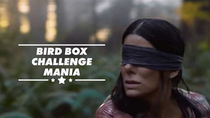 Netflix issues warning against Bird Box Challenge