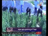 بالفيديو ... ضبط 17 مزرعة بانجوا بجنوب سيناء