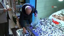 Karadeniz'de Hamsinin Ardından Tezgahları İstavrit Balıkları Süslüyor