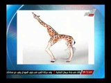 شاهد أخر تقليعات الرسم على الجسد 