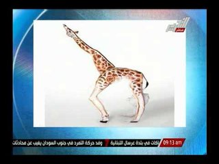 شاهد أخر تقليعات الرسم على الجسد "التاتو" .