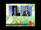 برنامج الطريق - رد الدين والطب على القصص الخرافيه لبعض مشايخ السلفية - 22 اغسطس 2014