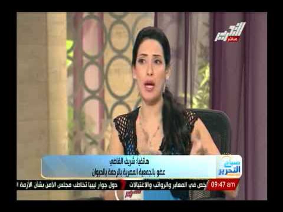 شاهد عيان ومكتشف مذبحة القطط بنادى الجزيرة يروى تفاصيل الواقعة بالنادى الهشير