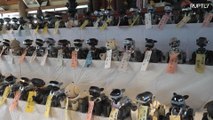Ритуал похорон собак-роботов AIBO в Японии