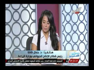 شاهد رد رئيس قطاع الإنتاج الحيوانى بوزارعة الزراعة على تصريح المواطنين بأسعار الأضاحى نار