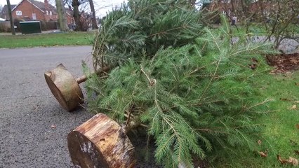 Christmas Tree Recycling!?