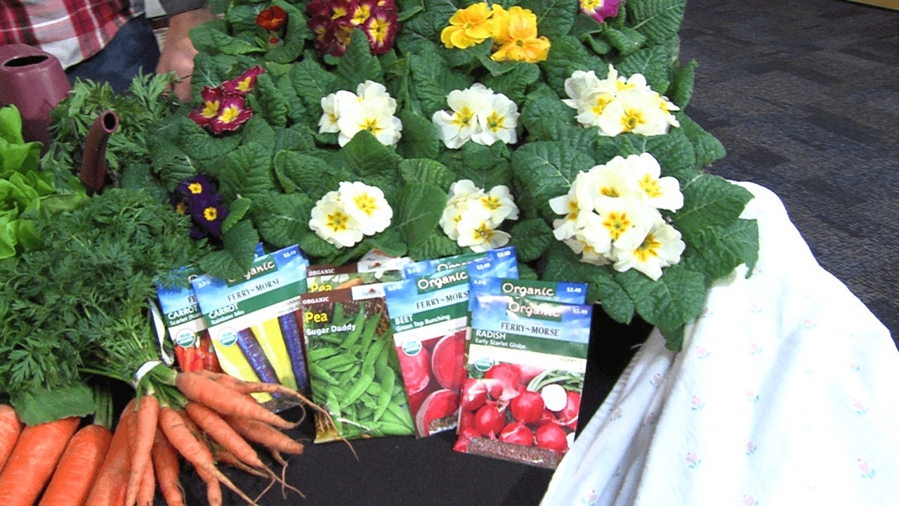 Top 4 Winter Gardening Tips