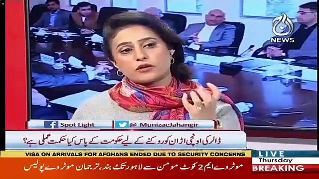 Spot Light – 3rd January 2019