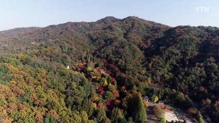 '대전 방문의 해'...관광 선도도시로 재도약 / YTN