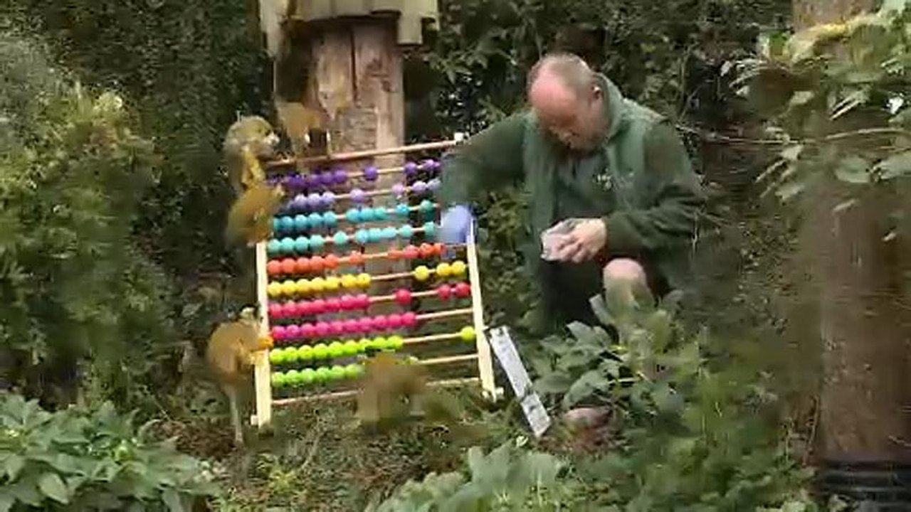 Zählappell im Londoner Zoo