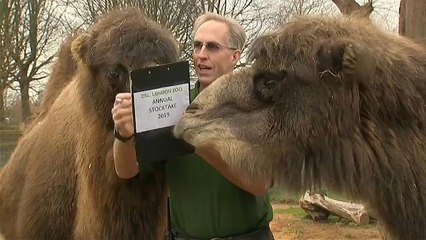 Перепись в Лондонском зоопарке