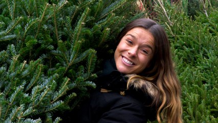 One Small Step: Recycling Your Christmas Tree