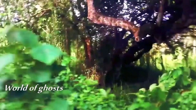 Страшное Видео 9 Сверхъестественных Призраков Поймали На Камеру