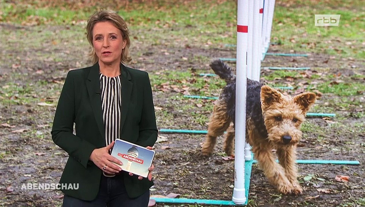 Auszug Abendschau RBB 02.01.2019
