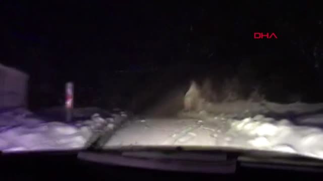 Kahramanmaraş Kar Nedeniyle Mahsur Kalan Hamile Kadın, Paletli Ambulansla Kurtarıldı