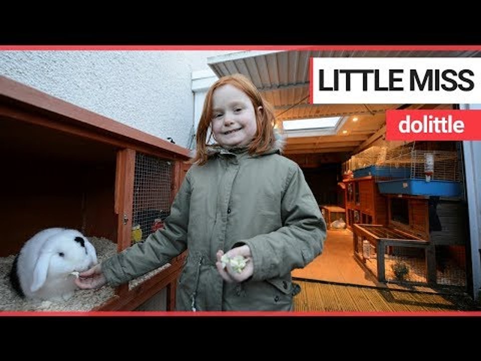 A real-life Dr Doolittle family who keep 46 pets | SWNS TV