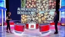 Réchauffement climatique : une modification de notre alimentation