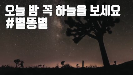 [자막뉴스] 오늘 밤~내일 새벽 꼭 하늘을 봐야 하는 이유 #별똥별 / YTN