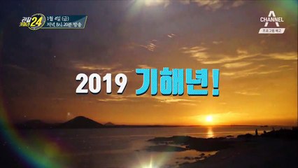 [예고] 2019 기해년! 황금돼지 스타가 떴다?!