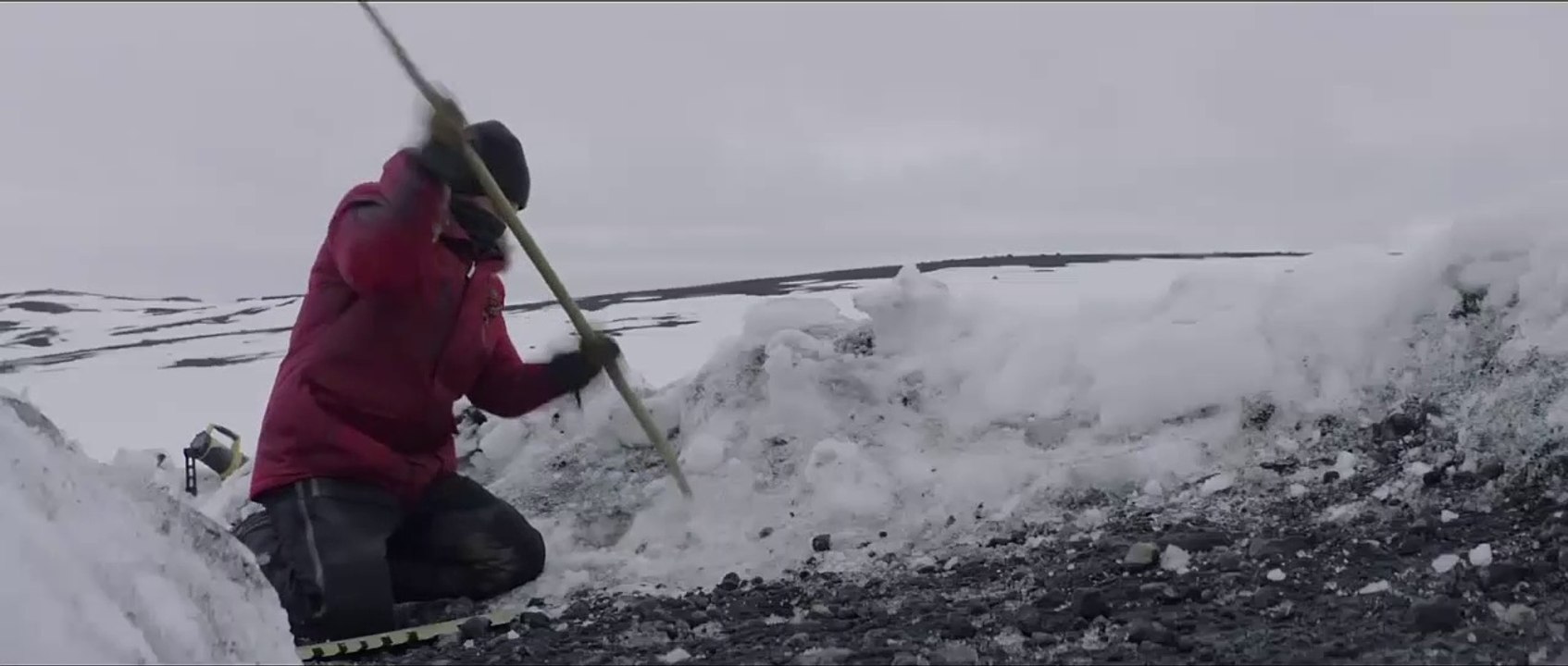 ARCTIC - Officie Trailer - 2019 HD