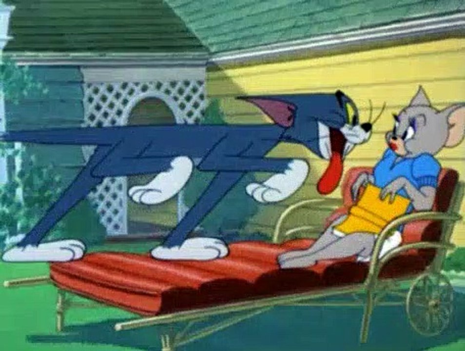 Tom And Jerry Switchin Kitten