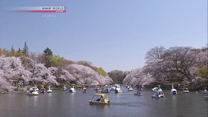 [sub] #TOKYO; Keyword; Kichijoji