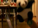 La danse du panda: petit délire de Noël