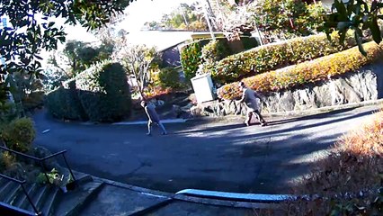 EDR January #3 2019 Noise Campaign and Street Theater