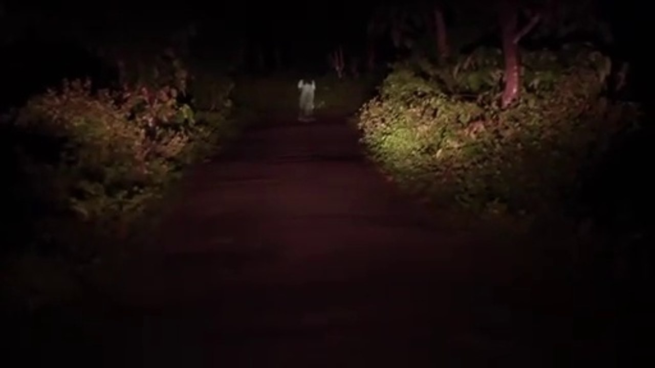 Vidéos de fantômes réels - Fantômes capturés devant la caméra - Fantômes hurlant sur une route hantée - Ruban paranormal - Real ghost videos - Real ghost caught on camera - Ghost Screaming on haunted road - Paranormal Tape