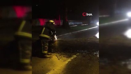 Yalova'da Dev Ağaç Yola Devrildi