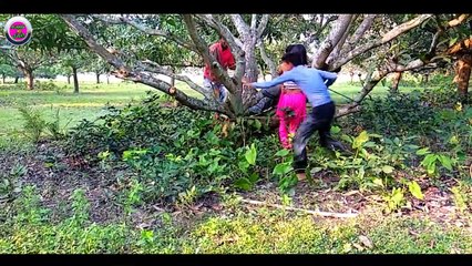 Must Watch New Funny Comedy Videos latest