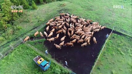 한국기행 - Korea travel_화산섬기행 5부 오름의 왕국_#001