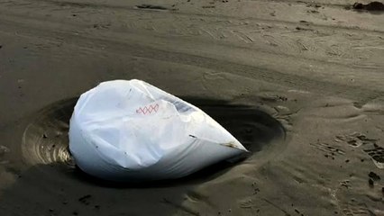 Conteneurs perdus : des plages des Pays-Bas souillés