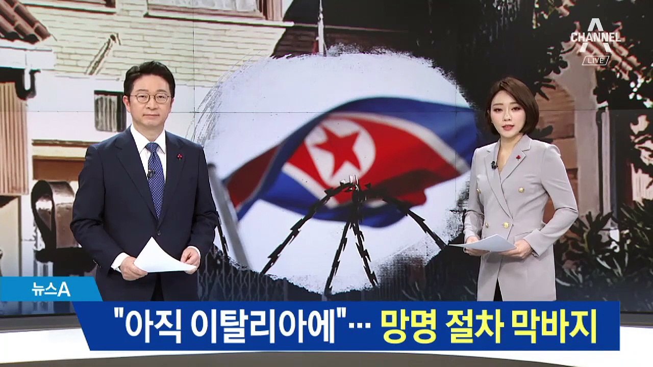 “조성길 아직 이탈리아에”…망명 절차 막바지