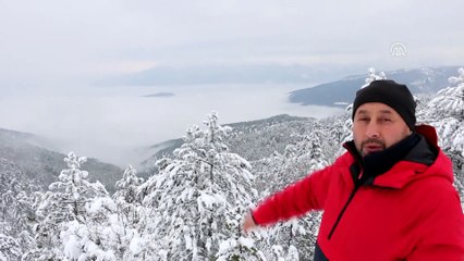 Mudurnu'da oluşan sis denizi görsel şölen oluşturdu - BOLU