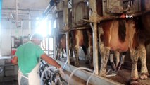 Süt üreticisi, süt fiyatlarının tekrar gözden geçirilmesini istiyor