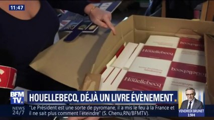 "Sérotonine": pourquoi le nouveau roman de Houellebecq promet d'être un succès