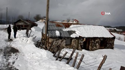 Şiddetli Rüzgar Yayla Evlerinin Çatılarını Uçurdu