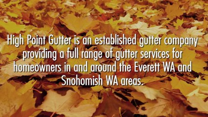 Gutter Company in Everett & Snohomish WA