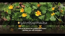 « فَفِرُّوا إِلَى اللَّهِ » خشوع وتجلي للشيخ محمد صديق المنشاوي برواية ورش عن نافع