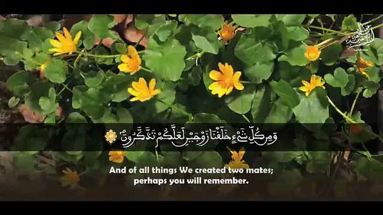 « فَفِرُّوا إِلَى اللَّهِ » خشوع وتجلي للشيخ محمد صديق المنشاوي برواية ورش عن نافع