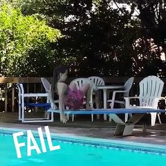 Funny fails video, Funny video plank 2019 part 2