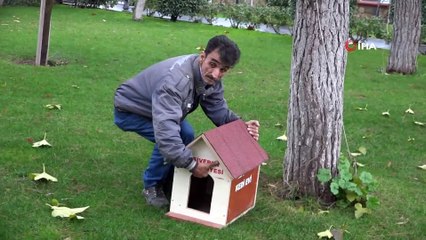 Sokak kedileri için sıcak evler kuruldu