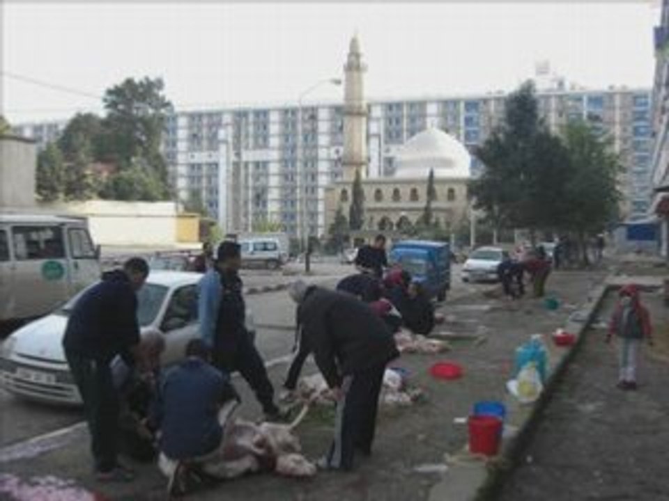 diar djemaa..Aid el adha