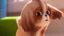 The Secret Life of Pets 2 'Daisy' Trailer (2019) - Movie Trailer