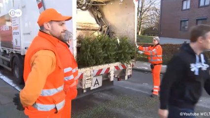 Что делают в Германии с елками после праздников